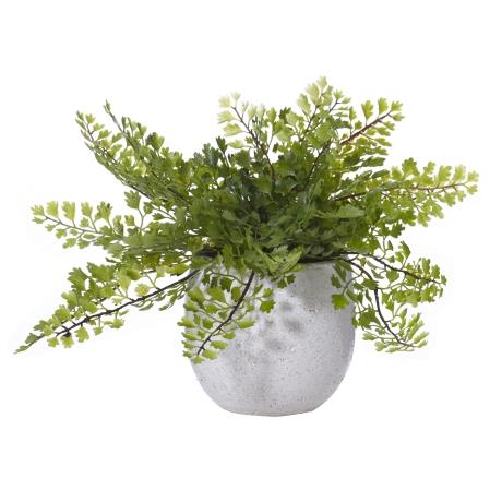 Maiden Hair In Tub Pot Artificial Plant | PREORDER