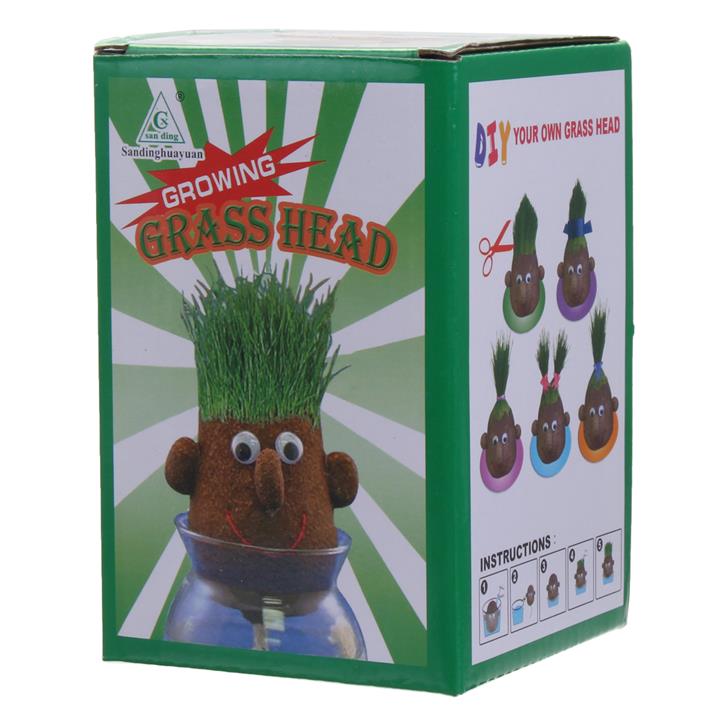 Mini Magic Growing Grass Head Education Toys Random 4PCS Dolls Children Kids Craft DIY Gifts