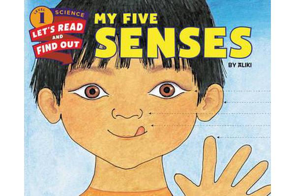 My Five Senses