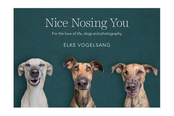 Nice Nosing You - For the Love of Life, Dogs and Photography