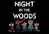 Night in the Woods Steam CD Key