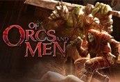 Of Orcs and Men RU VPN Required Steam CD Key