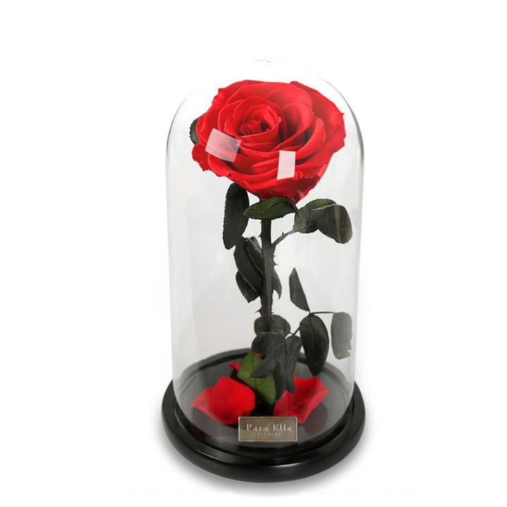 Para Ella Preserved Fresh Rose Flower with Fallen Petals in Glass Dome on a Wooden Base as Gift for Valentine's Day, Anniversary, Birthday , Wedding