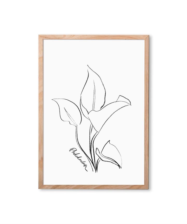 Philodendron Art Print Medium