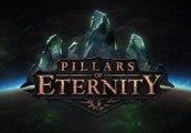 Pillars of Eternity Hero Edition RU VPN Activated Steam CD Key