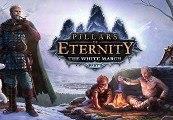 Pillars of Eternity: The White March Expansion Pass RU VPN Activated