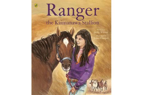 Ranger the Kaimanawa Stallion