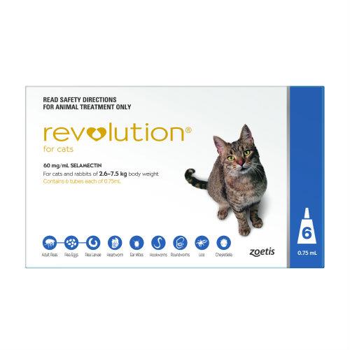 Revolution Blue 6 pack