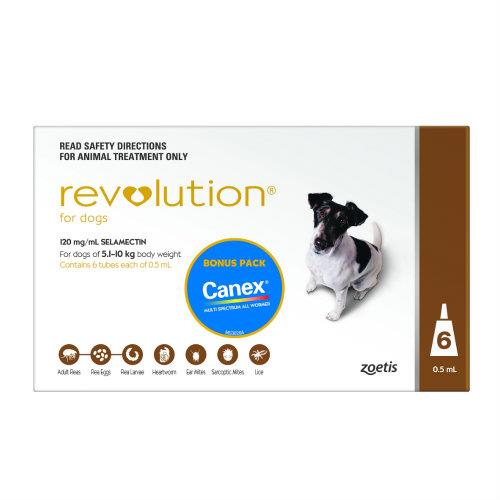 Revolution Brown Small 5.1-10kg 6 pack