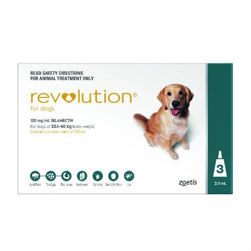 Revolution Teal Large 20-40kg 3 pack