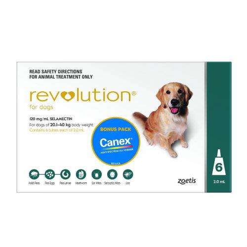 Revolution Teal Large 20-40kg 6 pack