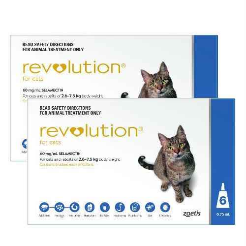 Revolution Blue 12 pack