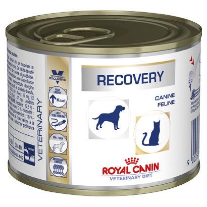 Royal Canin Veterinary Diet Recovery for Dogs and Cats 12x195g