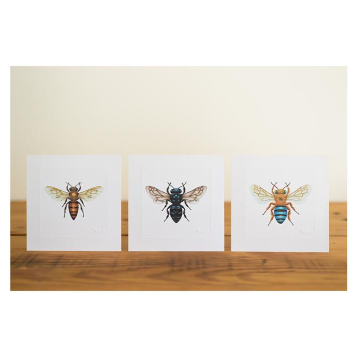 Set of 8 Bees of Australia Miniature Prints