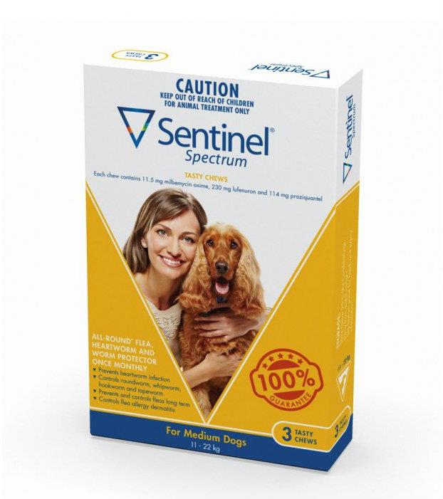 Sentinel Spectrum Chews Medium Yellow 6 pack