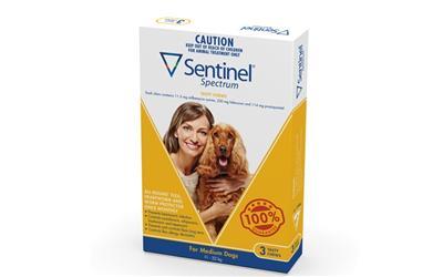 Sentinel Spectrum Chews Medium Yellow 3 pack