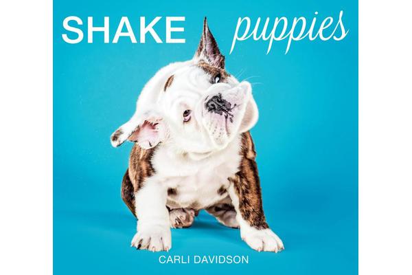 Shake Puppies