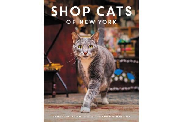 Shop Cats of New York