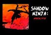 Shadow Ninja: Apocalypse Steam CD Key