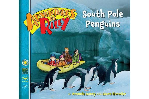 South Pole Penguins