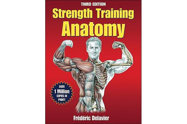 Strength Training Anatomy