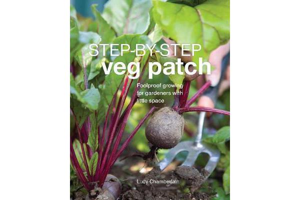 Step-by-Step Veg Patch