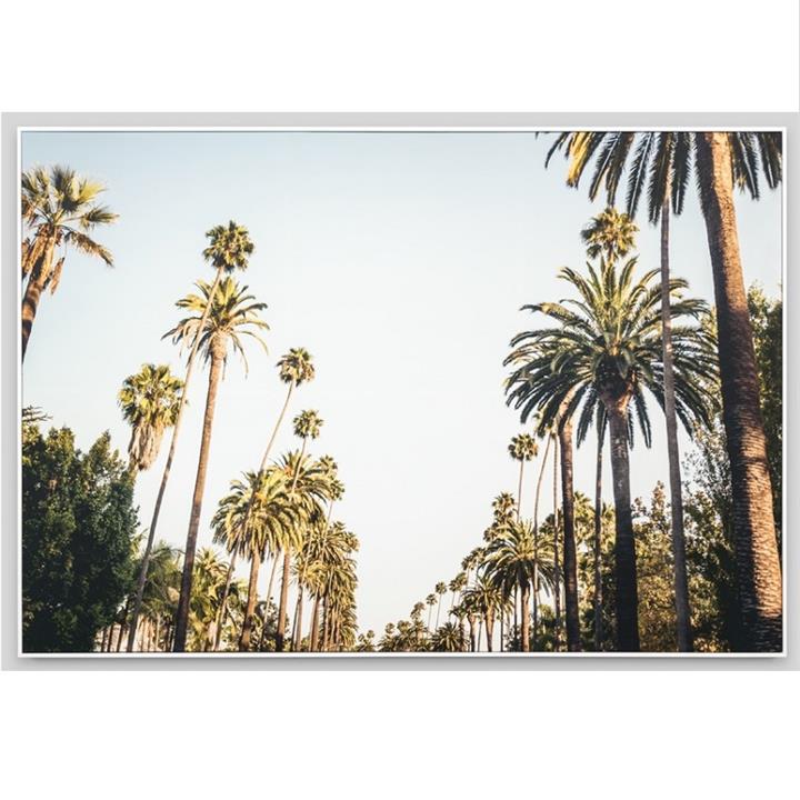 Sunshine Palms | Framed Photographic Canvas