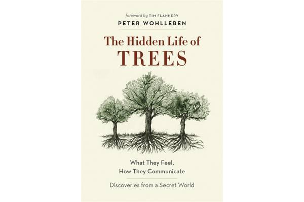 The Hidden Life of Trees - What They Feel, How They Communicate - Discoveries from a Secret World