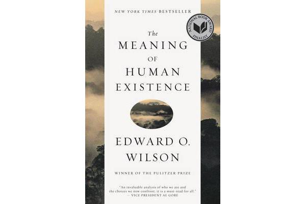 The Meaning of Human Existence