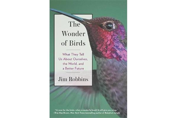 The Wonder Of Birds