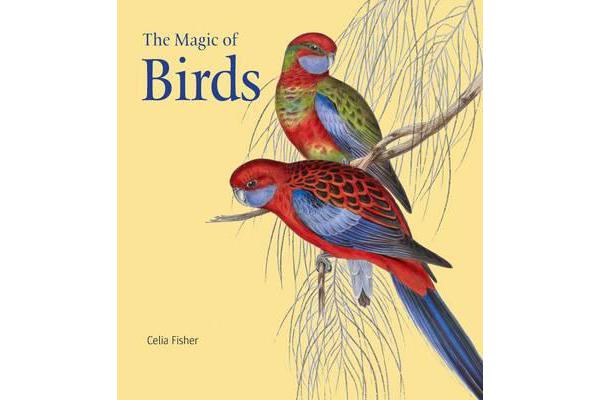 The Magic of Birds