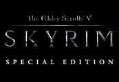 The Elder Scrolls V: Skyrim Special Edition RU VPN Required Steam CD