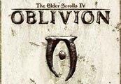 The Elder Scrolls IV Oblivion GOTY Edition Steam Gift