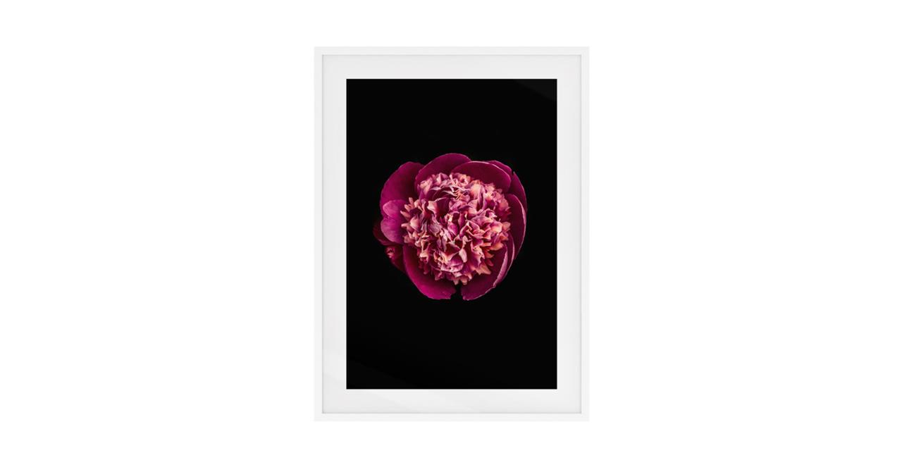 The Peony Print White Wood Frame Small