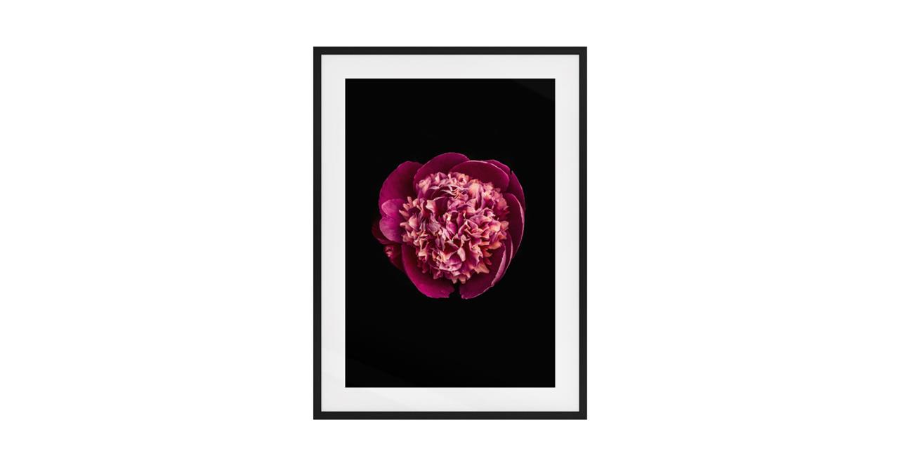 The Peony Print Black Wood Frame Medium