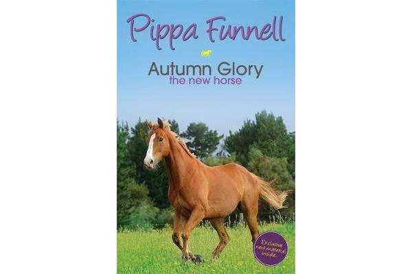 Tilly's Pony Tails: Autumn Glory the New Horse - Book 12