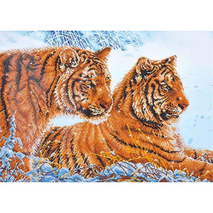 Tigers In The Snow