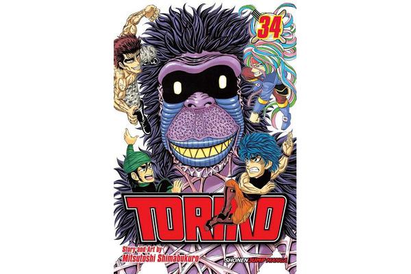 Toriko, Vol. 41 - The King's Fight!!