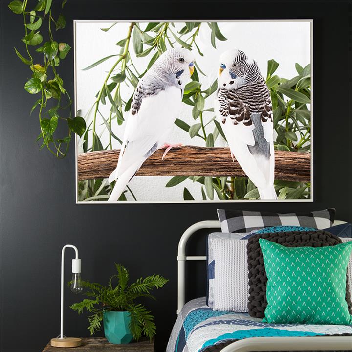 Two Little Dickie Birds | Framed Photographs by Amelia Anderson