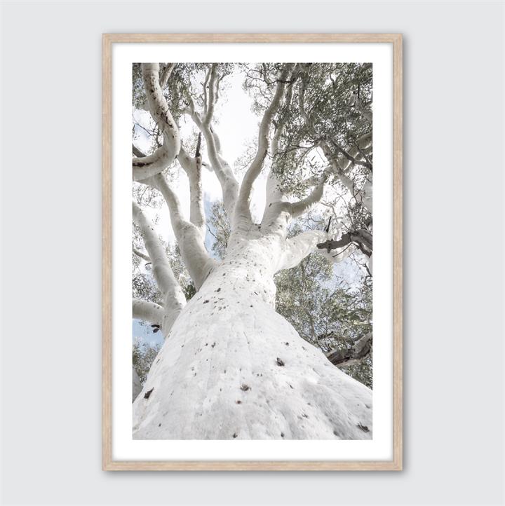 Under The Gum | Framed Giclee Art Print