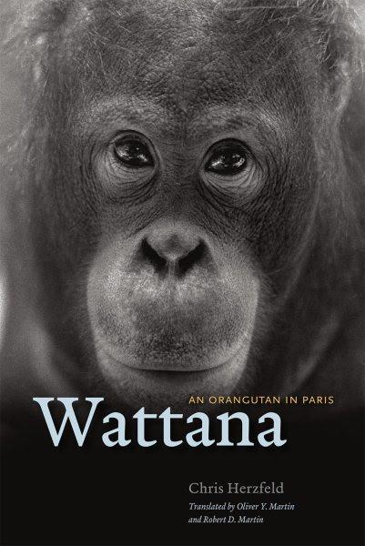 Wattana: An Orangutan in Paris