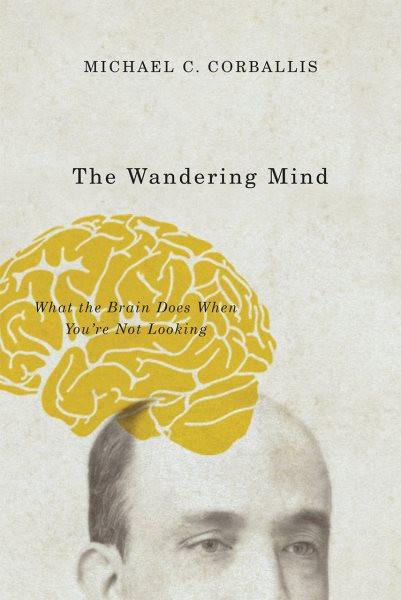 Wandering Mind: What the Brain Does When You're Not Looking