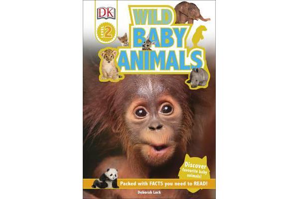 Wild Baby Animals