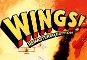 Wings! Remastered Edition Steam Gift