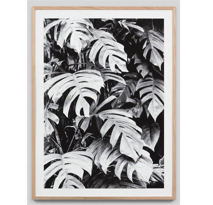 Xanadu | Framed Photographic Print