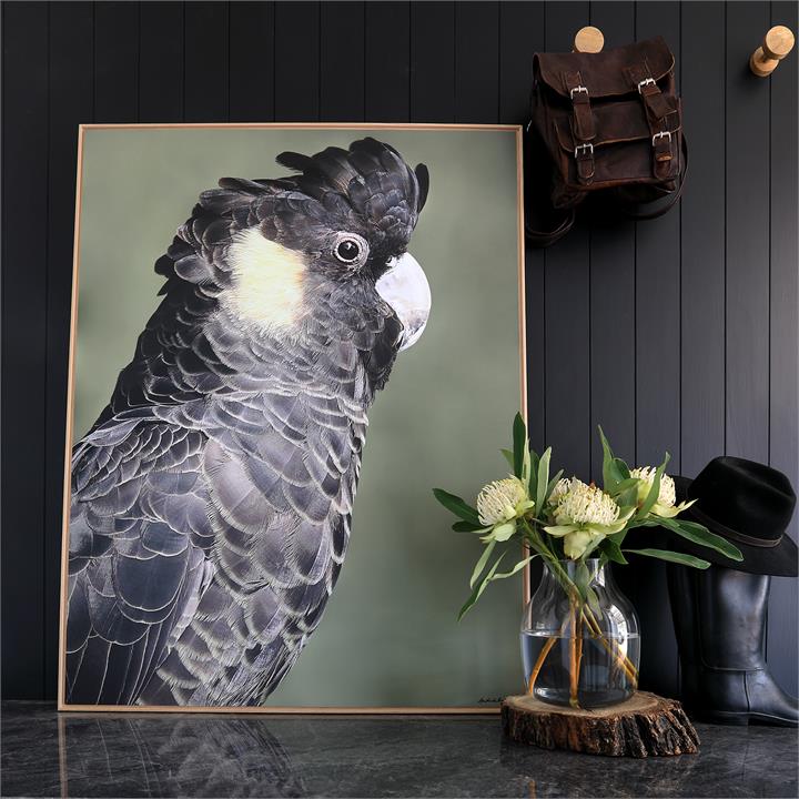 Yellow-tailed Black Cockatoo | Framed Photograph by Amelia Anderson