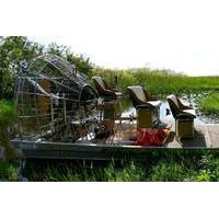 1-Hour Private Air Boat Tour of the Everglades