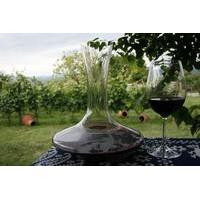 1 Day Wine Tour in Kakheti Region