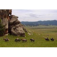 1 Day Small Group Horseback Riding Tour of Terelj National Park Including Lunch