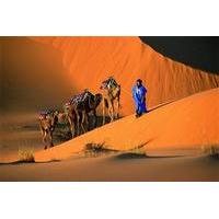 1 Night Camel Trek Bivouac From Merzouga